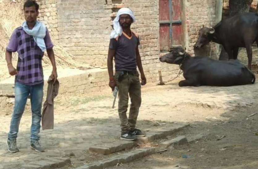 Dabang पुलिस पर भारी हिस्ट्रीशीटर, फायरिंग के बाद तमंचा लेकर गांव में घूमता रहा, वीडियो वायरल