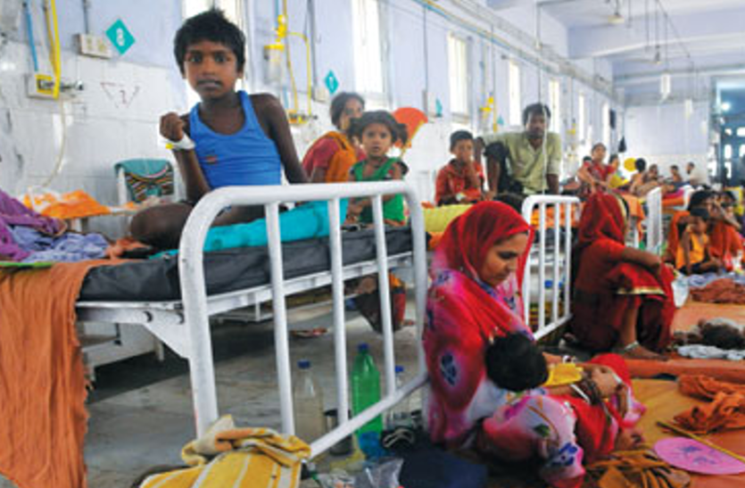 chamki सावधान!...बिहार में फिर कहर बरपा रहा 'चमकी' बुखार, अब तक 22 बच्चों की मौत, सैंकडों भर्ती, यह है फैलने की वजह