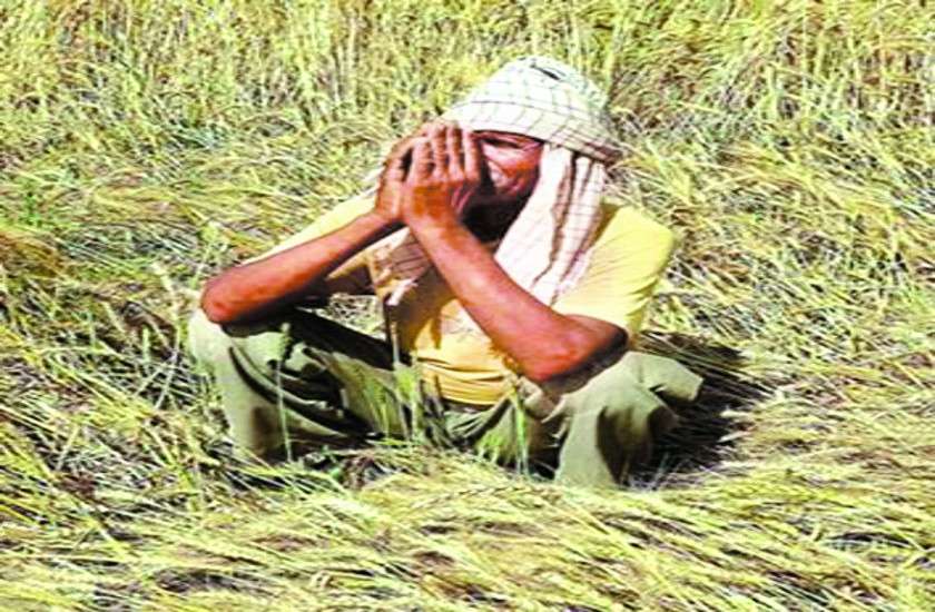 farmers