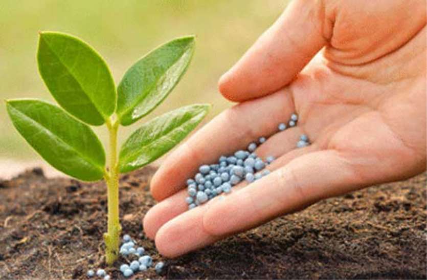 Fertilizer किसान खुद भी कर सकते हैं असली और नकली उर्वरक की पहचान, जानिए तरीका