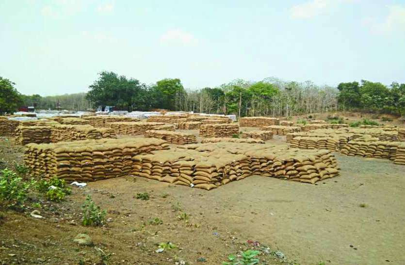 A 15 days passed, purchase of wheat stopped, wheat still on centers गेहूं खरीदी बंद हुए एक पखवाड़ा बीता, केंद्रों में अब भी लगा अम्बार