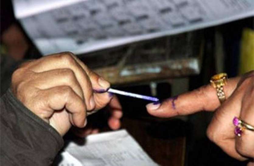 local body election in rajasthan सांगानेर विधानसभा में सबसे ज्यादा और झोटवाड़ा-बगरू से आएंगे कम पार्षद