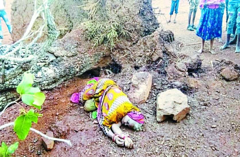 indore हवा-आंधी के साथ बारिश, पेड़ के नीचे दबने से वृद्धा की मौत, युवती घायल