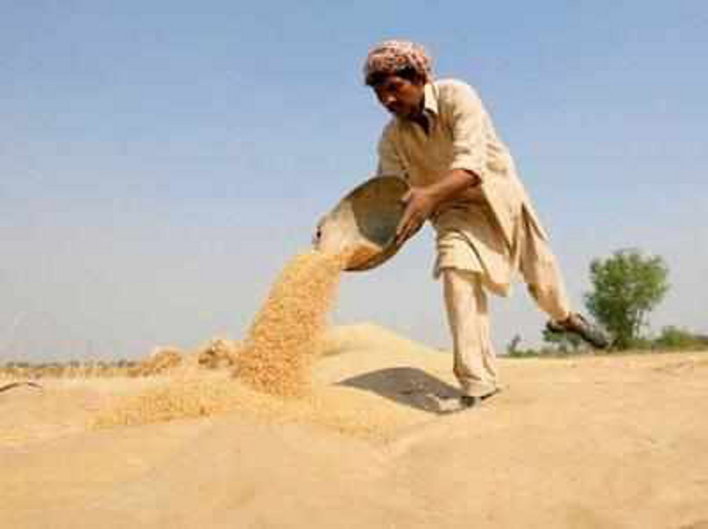 Area of Kharif reached five lakh hectares एक और रिकॉर्ड बनाने की ओर मुख्यमंत्री का जिला