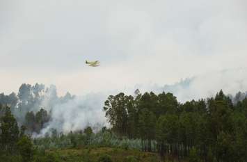 Portugal Plane crash causes two dead bodies still to be identified पुर्तगाल: प्लेन क्रैश में दो की मौत, हादसे के बाद जंगल में लगी आग