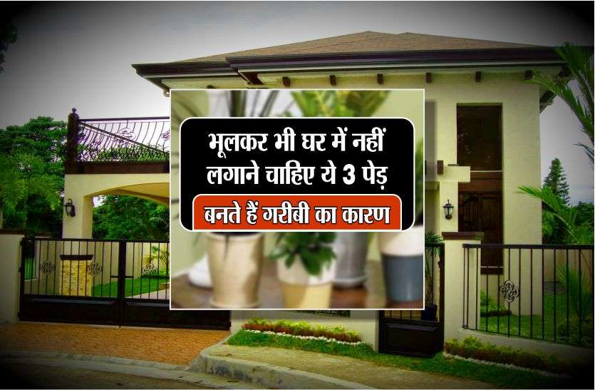 vastu भूलकर भी घर में नहीं लगाने चाहिए ये 3 पेड़, बनते हैं गरीबी का कारण