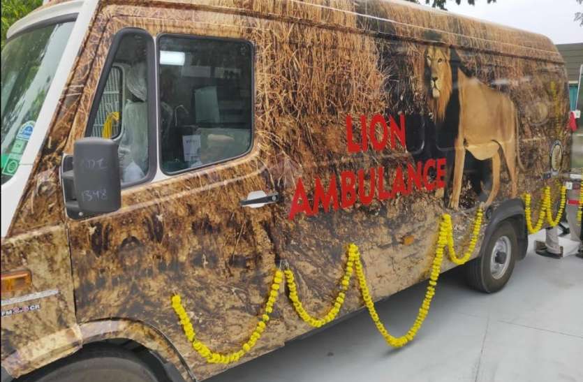 Advanced Lion Ambulance For Treatment Of Asiatic Lions In Gir - सासण-गिर में शेरों के उपचार के लिए आधुनिकतम लॉयन एम्बुलेंस | Patrika News