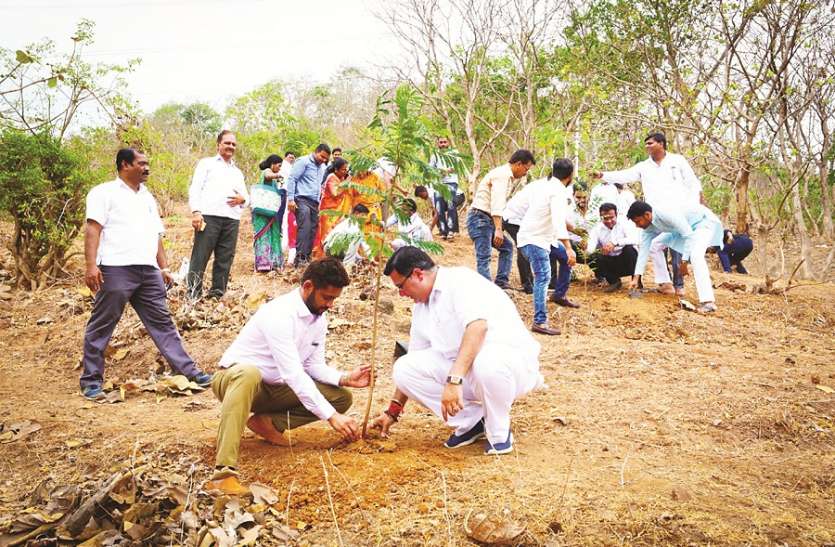राकां करेगी नौ हजार पौधारोपण व संवर्धन राकां करेगी नौ हजार पौधारोपण व संवर्धन