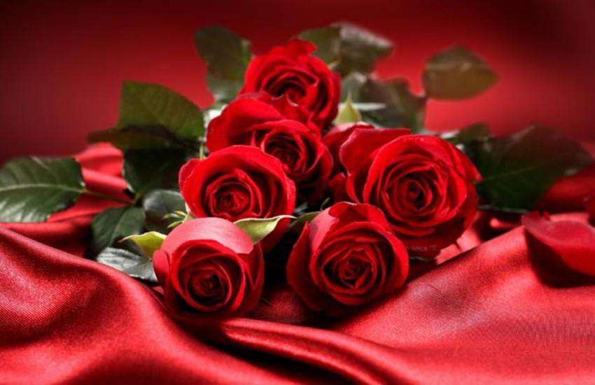 feng sui red color