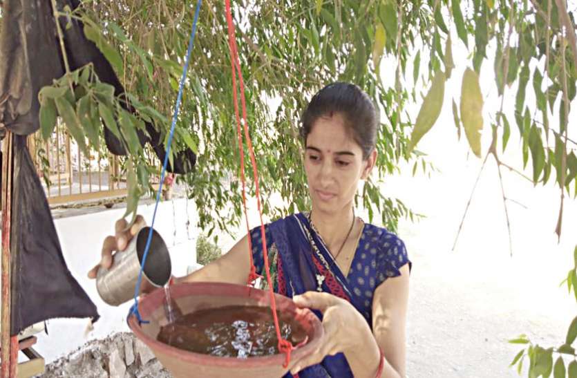 general पौधों व पक्षियों के लिए पहले वेतन का किया उपयोग