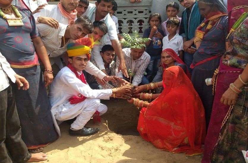 jalore#sanchore नवदम्पति ने लगाया पौधा, परवरिश का लिया जिम्मा