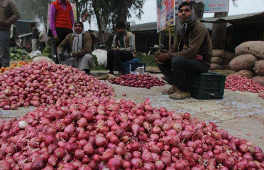 onion