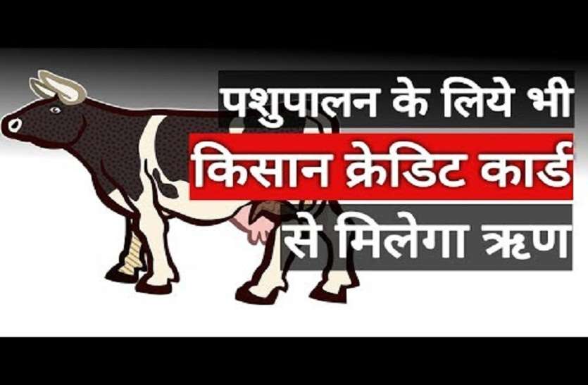 pashupalak Animal Husbandry to get KCC facilities मत्स्य पालन, पशुपालकों के लिए अच्छी खबर... अब केसीसी का मिलेगा लाभ
