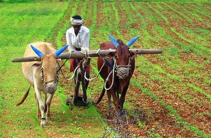 farmers राजस्थान के 15 लाख किसानों के लिए केन्द्र से आई खुशखबर, अगले दो दिनों में खातों में आएंगे रुपए