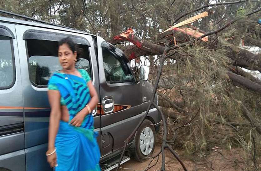 patrika वायु चक्रवात: तेज हवा से उड़े पतरे और गिरे पेड़