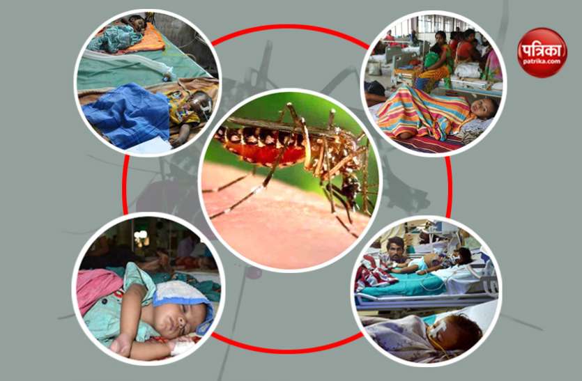 encephalitis बिहार में एक्यूट इंसेफेलाइटिस से मचा कोहराम, 10 दिनों में 31 मासूमों की मौत