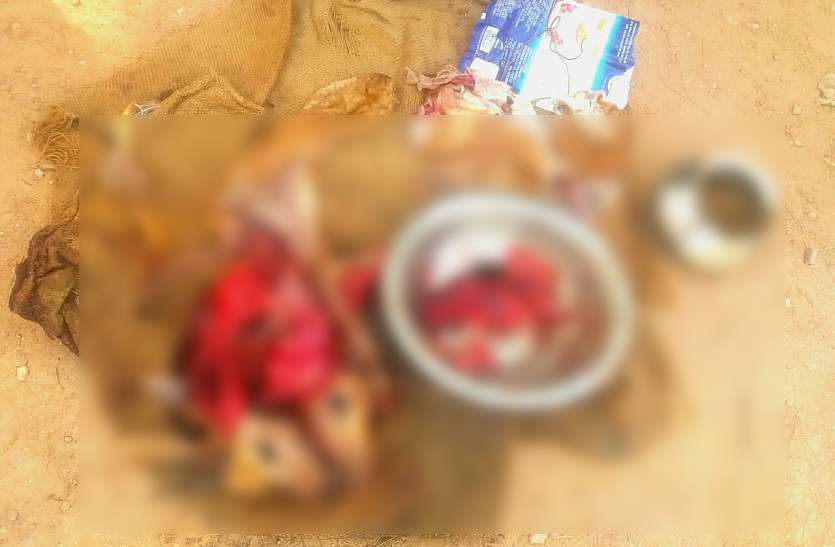 crime news मार डाला बेजुबानों को, और देखते रहे तमाशा