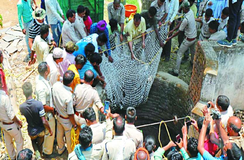 Bear attack नई नवेली दुल्हन का हो रहा था इंतजार, लेकिन आ धमका भालू, फिर जो हुआ.., जरूर देखें Video