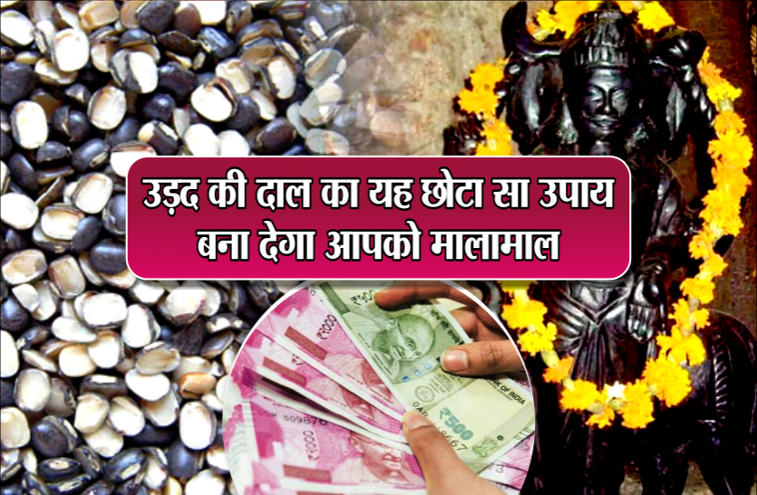 shani upay in hindi शनिवार के दिन करें उड़द की दाल का यह छोटा सा उपाय, गरीबी होगी दूर