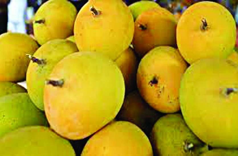 cg news आमा खाव, मजा पाव