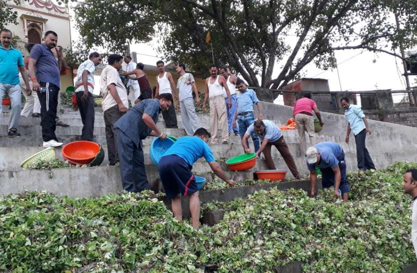 20th day of the magazine Amritan Jalm Abhiyan: होमगार्ड के जवानों और युवाओं ने दो घंटे में निकाल डाली पांच ट्राली जलकुंभी