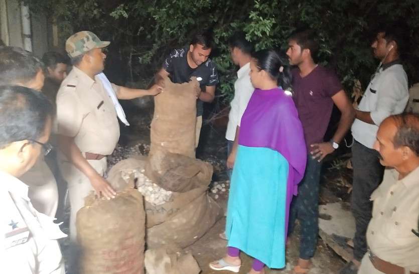 वेटनरी हॉस्पिटल में छापेपारी, कोकून के कालाबाजारी का खुलासा, वन विभाग की टीम ट्रक पर उठा ले गई कोकून की बोरियां