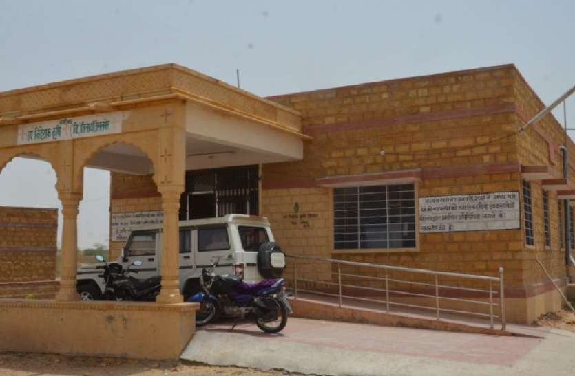 jaisalmer टिड्डियों ने भरवाए सारे रिक्त पद! जैसलमेर के कृषि विभाग में 77 कार्मिकों की पोस्टिंग