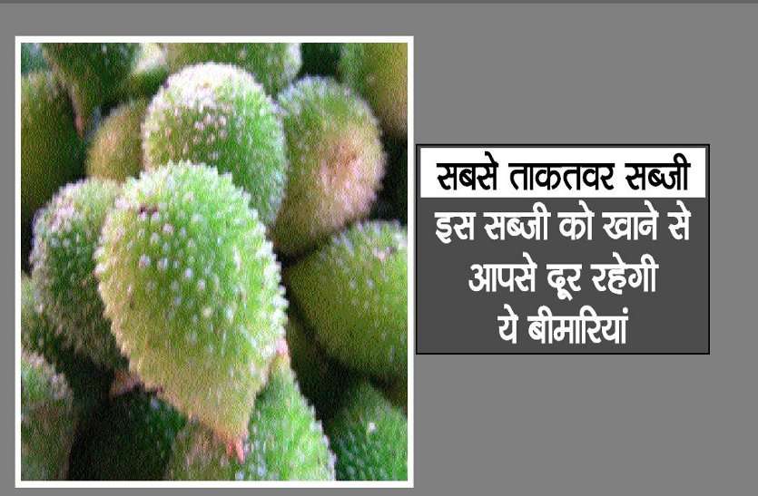 Kantola2019 इस सब्जी को खाने से आप से दूर रहेगी ये गंभीर बीमारियां,मानी जाती है सबसे ताकतवर