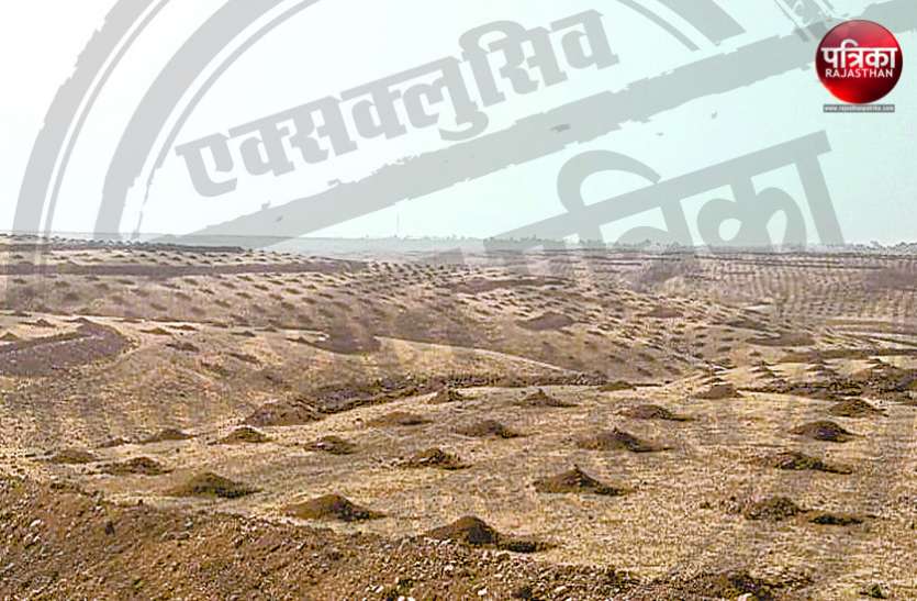 banswara बांसवाड़ा की छह रैंजों के सात सौ हैक्टेयर में होगा पौधरोपण, ढाई लाख से अधिक पौधे लगाकर बिछाएंगे हरियाली की चादर