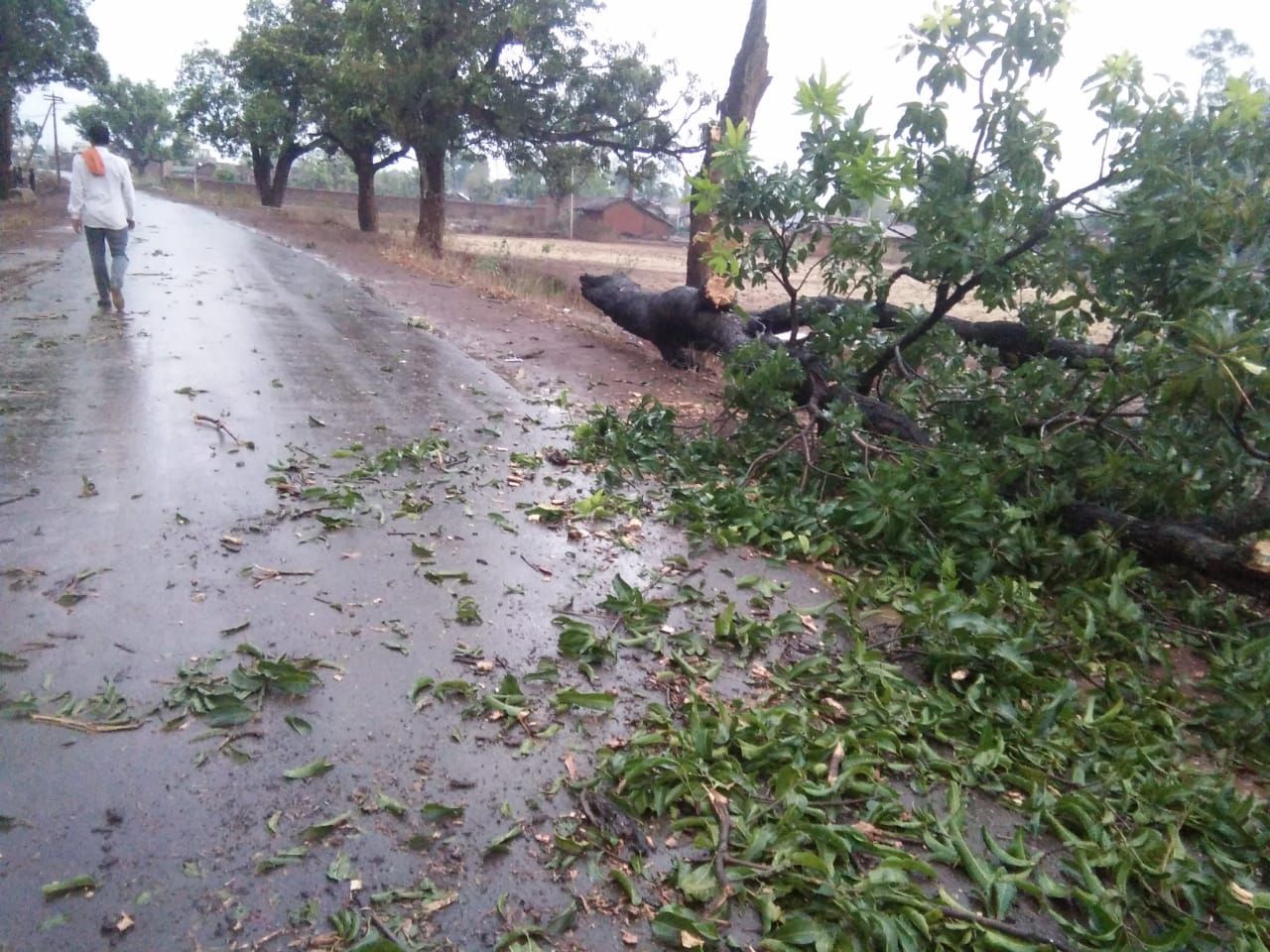 सैकड़ों किमी दूर भी दिखा वायु का असर, 15 मिनट में 10.2 मिमी बारिश सैकड़ों किमी दूर भी दिखा वायु का असर, 15 मिनट में 10.2 मिमी बारिश
