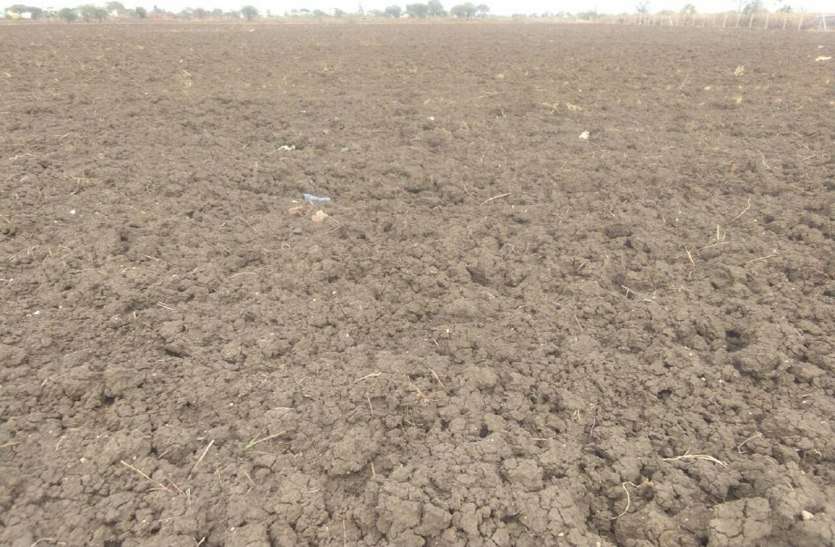 sehore तीन लाख 68 हजार हेक्टेयर में होगी खरीफ की बोवनी