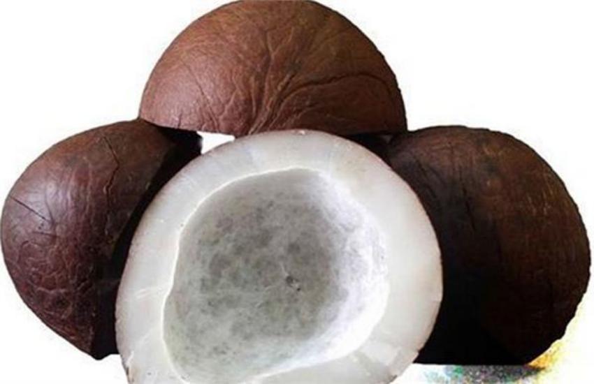 benefits of dry coconut