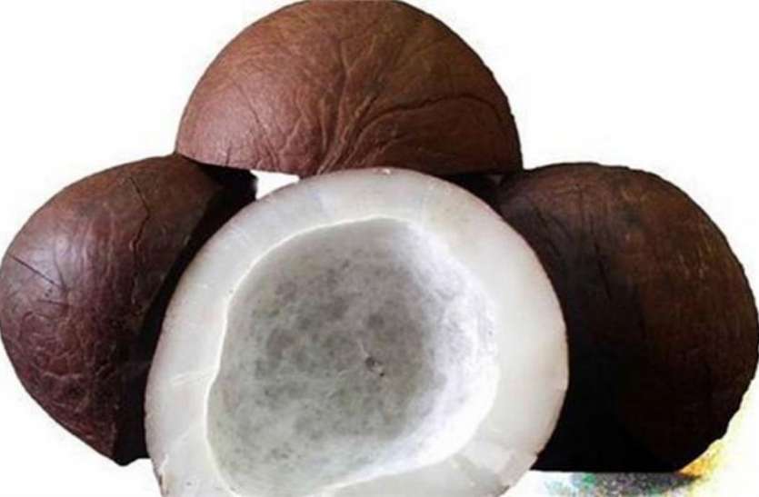 benefits of dry coconut दुबलेपन समेत इन 10 परेशानियों से चाहते हैं निजात तो खाएं सूखा नारियल
