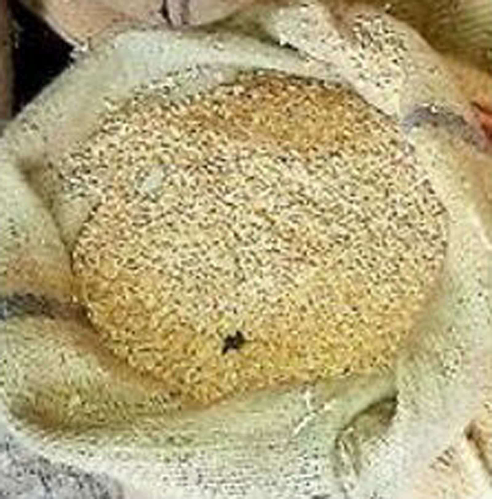 Wheat Reject For Storage By The Committee समिति से भण्डारण के लिए आया गेहूं रिजेक्ट