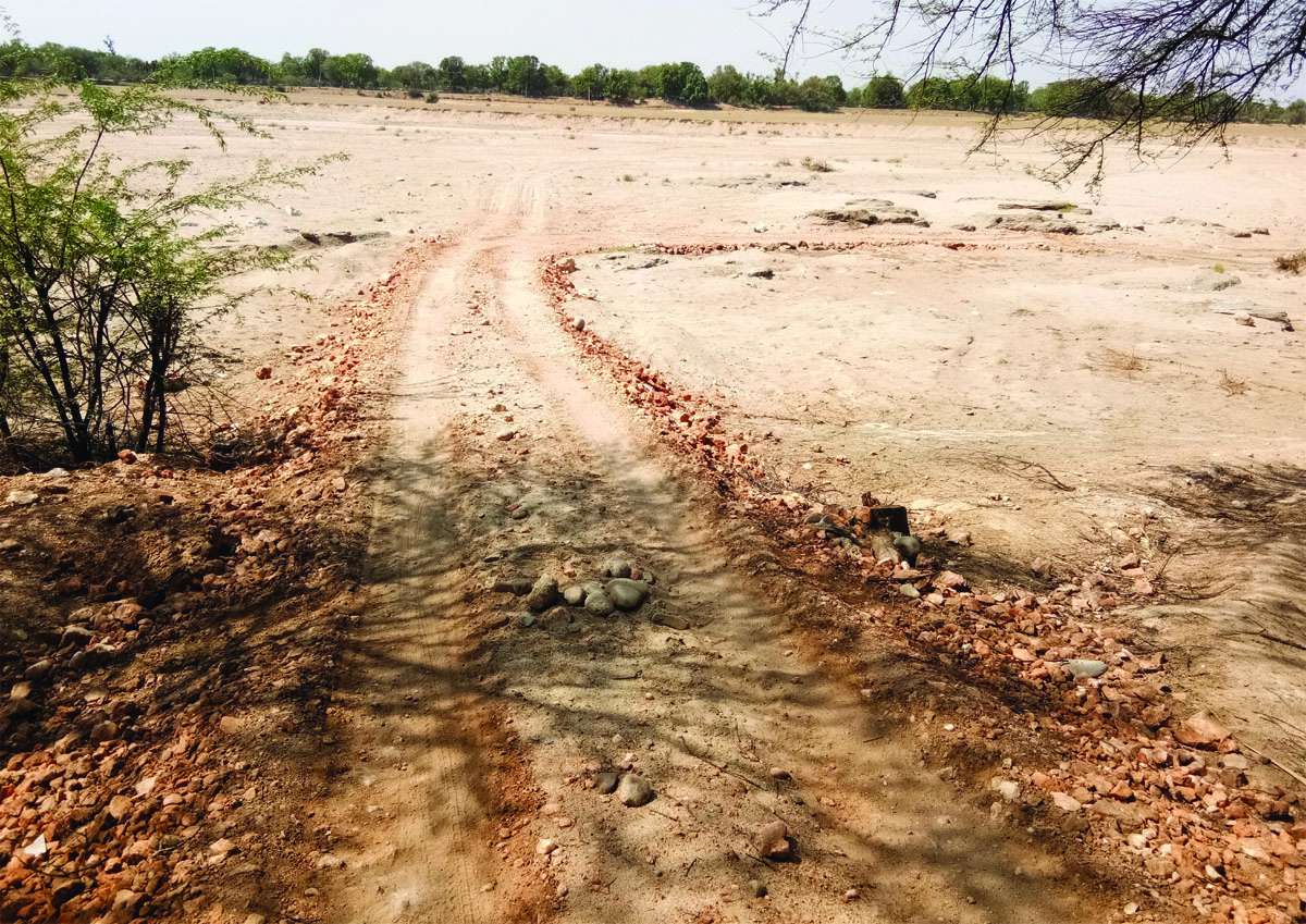 Graffiti mafia flourishing in marginal areas of district