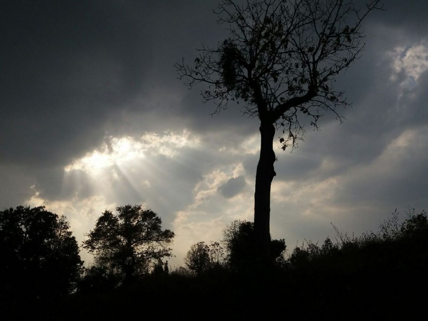 temperature 27 दिन बाद 40 डिग्री पर लौटा पारा