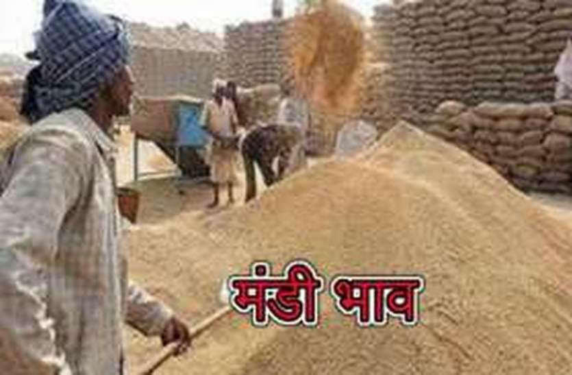 bikaner- friday grain market price बीकानेर बाजार- ग्वार-गम तेज, दालें टूटी