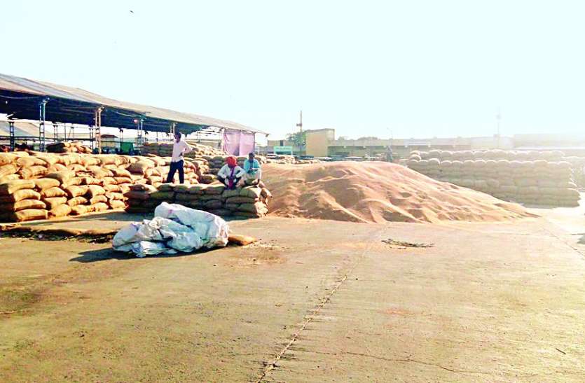 patrika 40 से अधिक मंडी व्यापारियों को प्रशासन ने थमाए नोटिस, तो व्यापारी हुए लामबंद