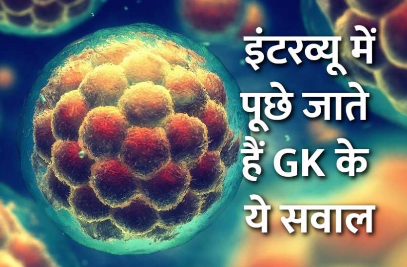 Education,interview,exam,online test,rojgar samachar,interview tips,online exam,Mock Test,general knowledge,GK,interview questions,jobs in hindi,rojgar,competition exam,mock test paper,sarkari job,questions Answers,GK mock test,Exam Guide, Exam Guide: इस मॉक टेस्ट से चेक करें अपनी प्रतियोगी परीक्षा की तैयारी