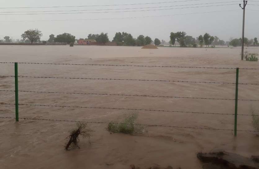 Rain in Rajasthan