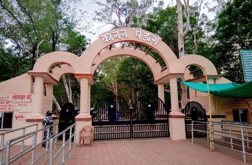 Hippo kid found in post-mortem In zoological garden in Chhattisgarh
