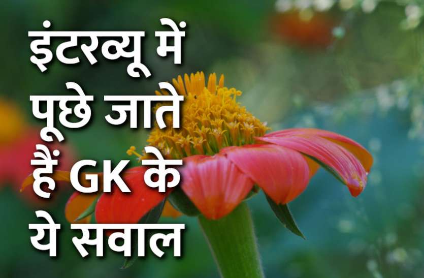 Education,interview,exam,online test,rojgar samachar,interview tips,online exam,Mock Test,general knowledge,GK,interview questions,jobs in hindi,rojgar,competition exam,mock test paper,sarkari job,questions Answers,GK mock test,Exam Guide, Exam Guide: इस मॉक टेस्ट से चेक करें अपनी प्रतियोगी परीक्षा की तैयारी
