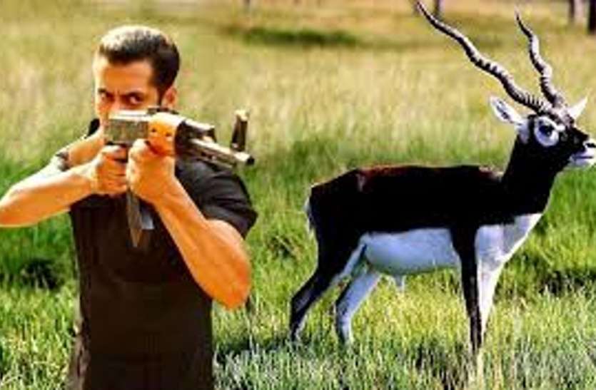 SALMAN KHAN BLACK BUCK HUNTING CASE BLACK BUCK HUNTING CASE : सलमान खान हिरण शिकार मामला, वो सब कुछ जो आप जानना चाहते हैं..