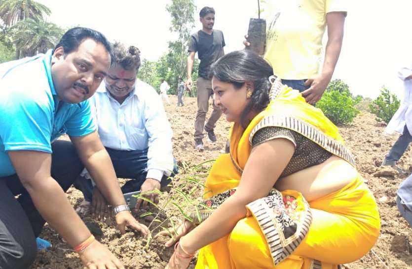 1 151 पौधों का रोपण कर बनाया वृक्ष मित्र