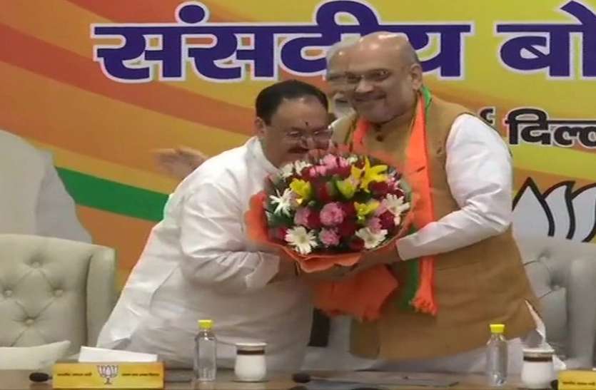 JP Nadda BJP के कार्यकारी अध्यक्ष बने जे पी नड्डा, संसदीय बोर्ड की बैठक में फैसला