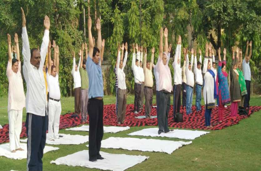 yoga विश्व योग दिवस: राजीव भवन में पंचम योग पखवाड़ा शुरु