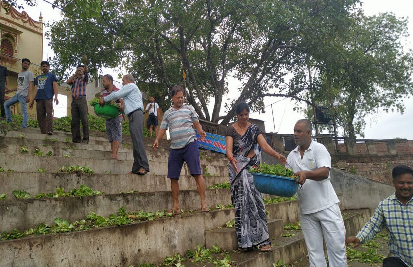 Amritan Jhamm Campaign In Chhatarpur रिमझिम फुहारों के बीच भी निकाली तीन ट्रॉली जलकुंभी