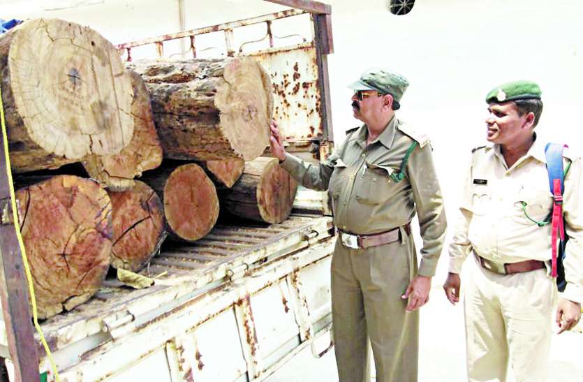 जूटमिल पुलिस(Jutmil police) ने पकड़ा अवैध 9 नग बीजा गोला हैमर के निशान लगे बीजा गोला की हो रही थी तस्करी, पुलिस ने पकड़ा