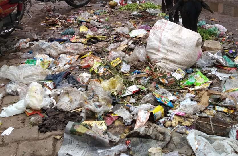 Panna was on 25 tonne of garbage pond 25 टन कचरे के ढेर पर था पन्ना, शाम को झाडू चली तो ली राहत की सांस