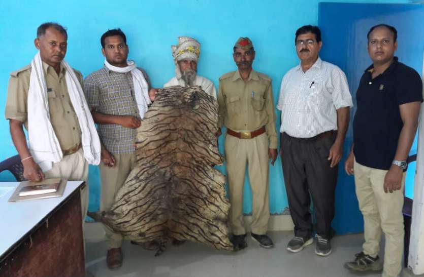 tiger skin चीते की खाल के साथ साधु गिरफ्तार, जानिए हैरान करने वाला मामला